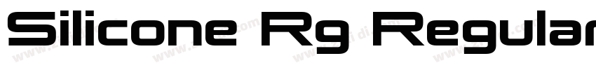Silicone Rg Regular字体转换